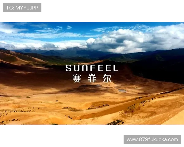 探索尊龙凯时地址平台的多功能性，满足不同用户需求